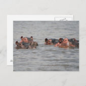 Hippos Postkarte (Vorne/Hinten)