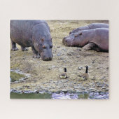HIPPOS PUZZLE (Horizontal)