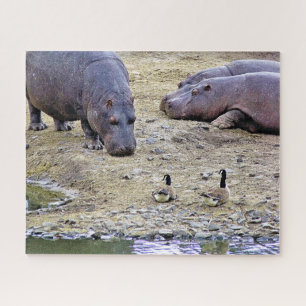 HIPPOS PUZZLE