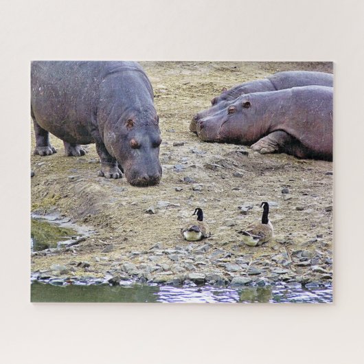 HIPPOS PUZZLE (Horizontal)