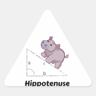 Hippotenuse Funny Math Dreieckiger Aufkleber