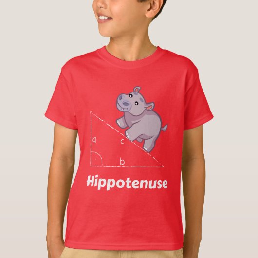Hippotenuse Funny Math T-Shirt (Vorderseite)