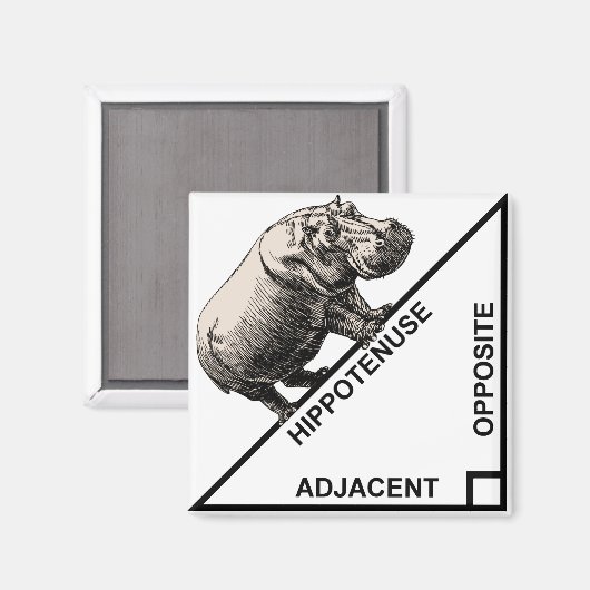 Hippotenuse Hypotenuse Funny Math Geometry Magnet (Vorderseite/Rückseite)