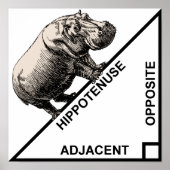 Hippotenuse Hypotenuse Funny Math Geometry Poster (Vorne)