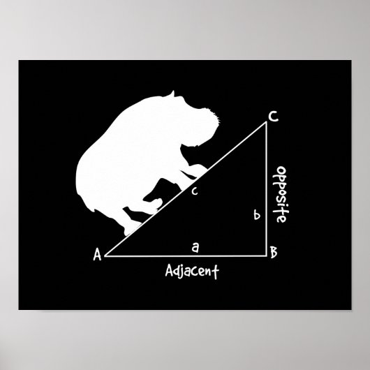 Hippotenuse Poster (Vorne)