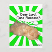 Hippy Kitty Sehr geehrter Herr, Tuna Bitte? Postkarte (Vorderseite)