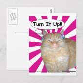 Hippy Kitty Turn It Up! Postkarte (Vorne/Hinten)