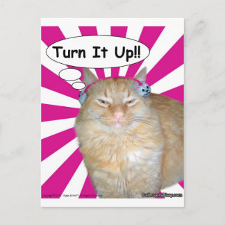 Hippy Kitty Turn It Up! Postkarte