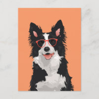 Hipster Border Collie Postcard für Hundefreunde