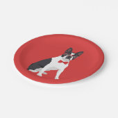 Hipster-Boston-Terrier mit roten Gläsern u. Pappteller (Schrägansicht)