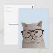 Hipster British Shorthair Cat Postkarte (Vorne/Hinten)