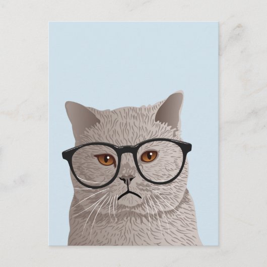Hipster British Shorthair Cat Postkarte (Vorderseite)