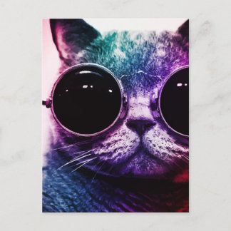Hipster Cat Pop Art Postkarte