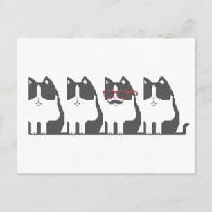 Hipster Cat Stehend Out Pixel Art Postcard Postkarte