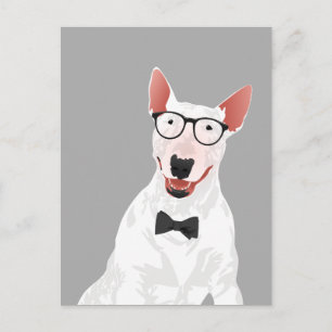 Hipster English Bull Terrier Dog Postcard Postkarte