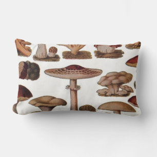 hipster französischer botanischer Druck vintage Pi Lendenkissen