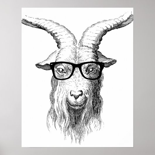 Hipster Goat Poster (Vorne)