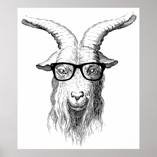 Hipster Goat Poster (Vorne)