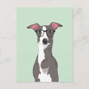 Hipster Italienischer Grauhund Hund für Hundeliebh Postkarte
