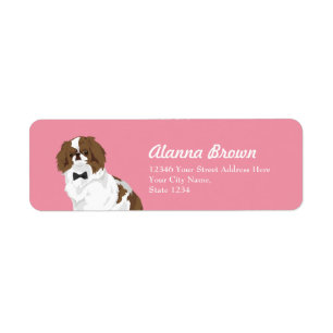 Hipster-Japaner Chin mit schwarzer Krawatte für