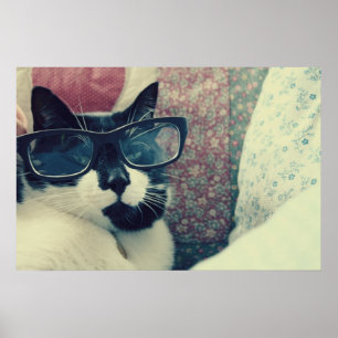 Hipster Katzenposter Poster