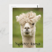 Hipster Lama Funny Hairdo Postkarte (Vorne/Hinten)