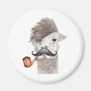 Hipster-Lama-Magnet Magnet