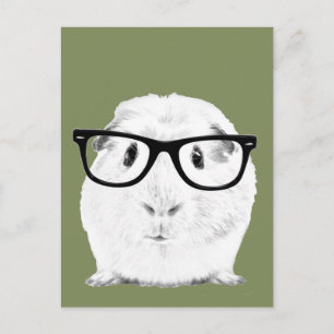 Hipster Pigster Postkarte