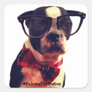 Hipsterhund mit Gläsern! Quadratischer Aufkleber