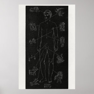 Hiram Eratus Butler - Solar-Biologie-Poster Poster