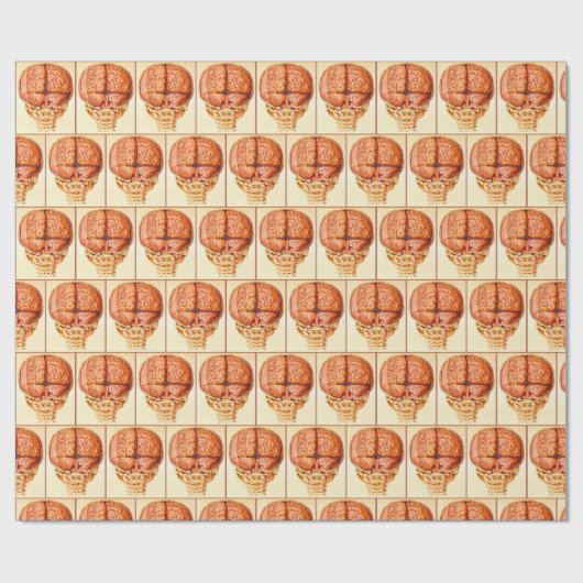 Hirnbasis und Meninges Lithograph Geschenkpapier (Flach)