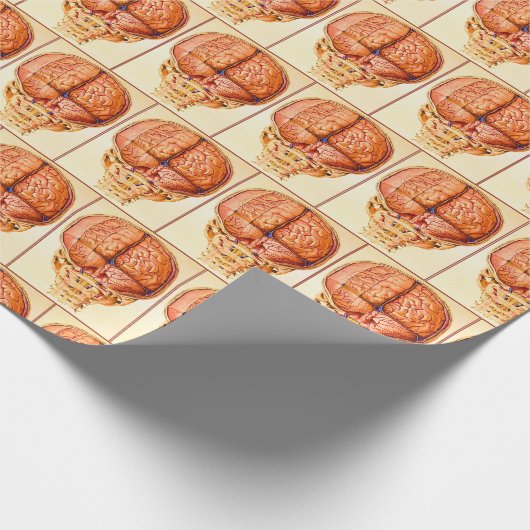 Hirnbasis und Meninges Lithograph Geschenkpapier (Ecke)
