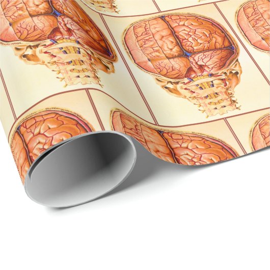Hirnbasis und Meninges Lithograph Geschenkpapier (Rolleneckpunkt)