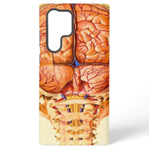 Hirnbasis und Meninges Lithograph