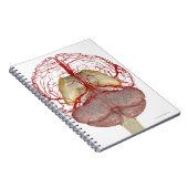 Hirngeschichten 2 notizblock (Rechte Seite)