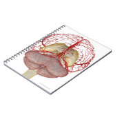 Hirngeschichten 2 notizblock (Linke Seite)