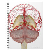 Hirngeschichten 2 notizblock (Vorderseite)