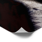 Hirnkampf 2013 poster (Ecke)
