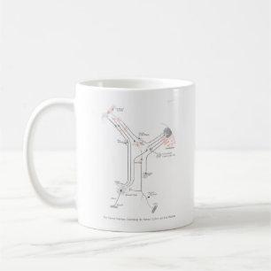 Hirnneuron-Synapsen Anatomie-Tasse Kaffeetasse