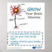 Hirnneuronen-Hirnforscher® Poster (Vorne)