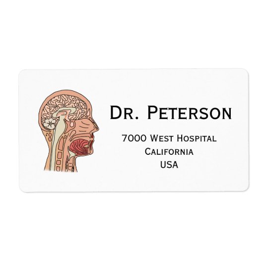 Hirnquerschnitt (Vorne)