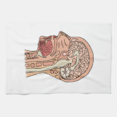 Hirnquerschnitt Geschirrtuch (Horizontal)