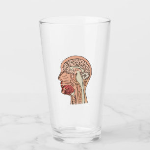 Hirnquerschnitt Glas