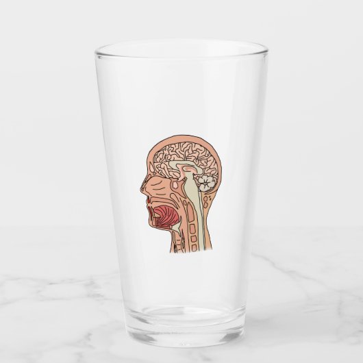 Hirnquerschnitt Glas (Vorderseite)