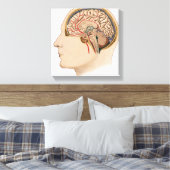 Hirnquerschnitt mit Arterien Leinwanddruck (Insitu (Schlafzimmer))