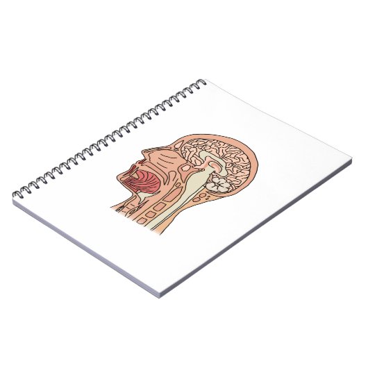 Hirnquerschnitt Notizblock (Linke Seite)