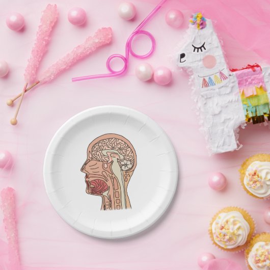 Hirnquerschnitt Pappteller (Party)