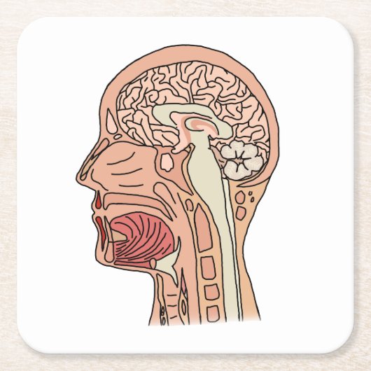 Hirnquerschnitt Rechteckiger Pappuntersetzer (Vorderseite)