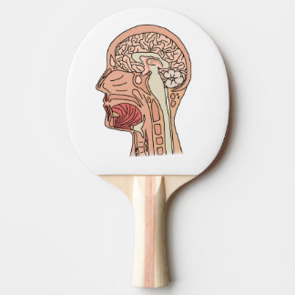 Hirnquerschnitt Tischtennis Schläger