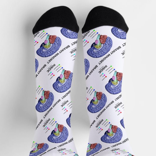 Hirnstamm in der anatomischen Hirnhöhe Socken (Oben)